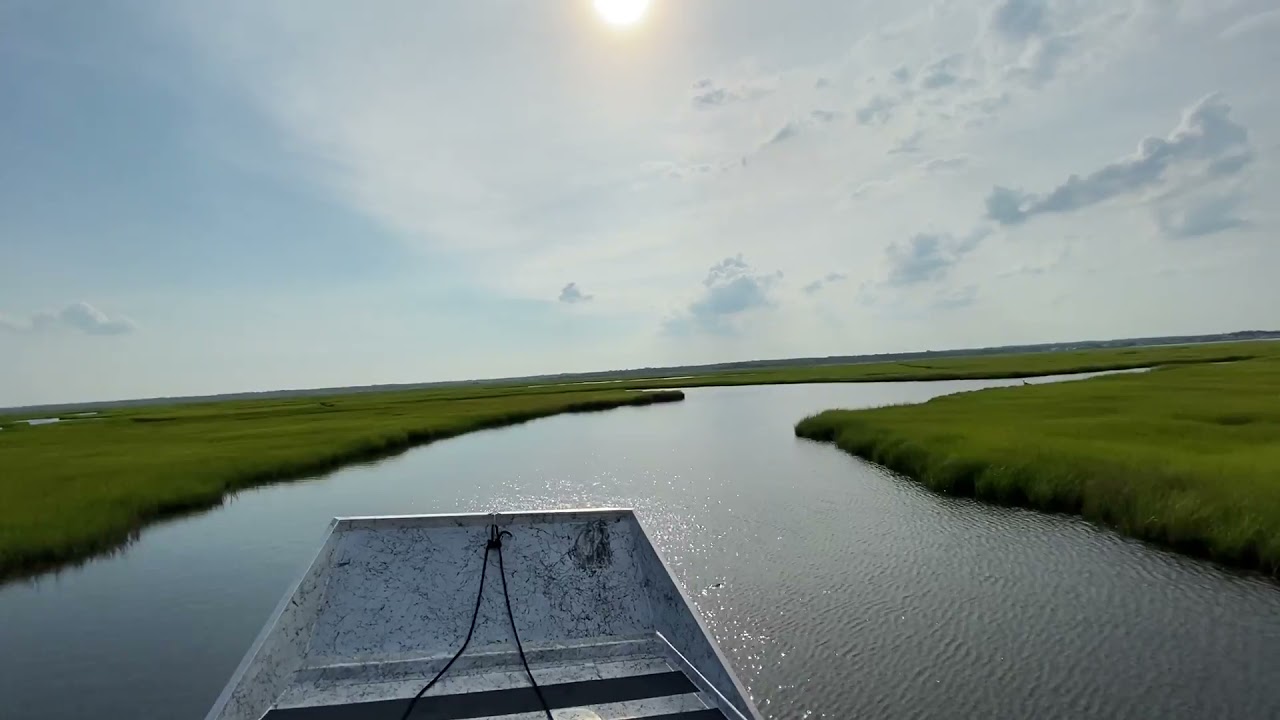 Airboat in Florida swamps
