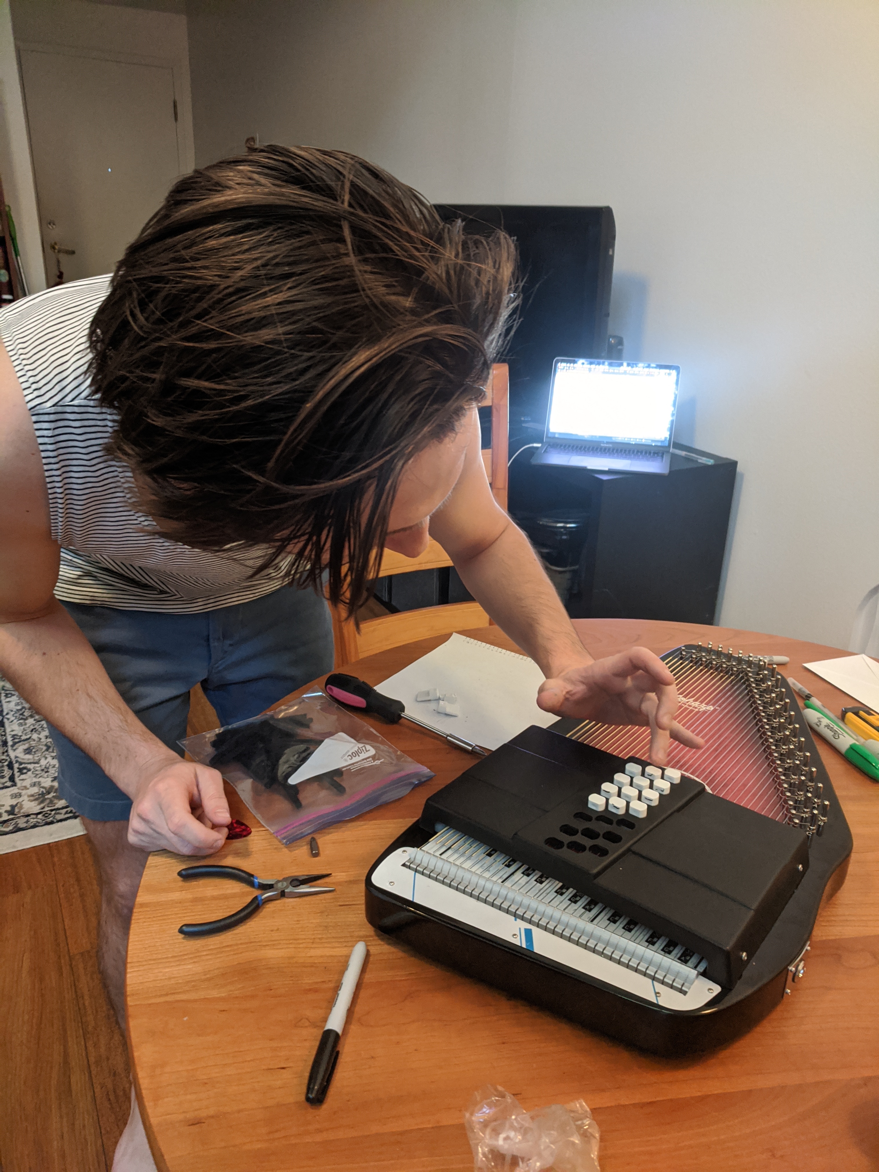 Pandiatonic Autoharp close-up